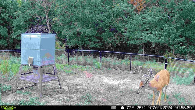 N County Road 3740, Tupelo, OK 74572 - photo 52