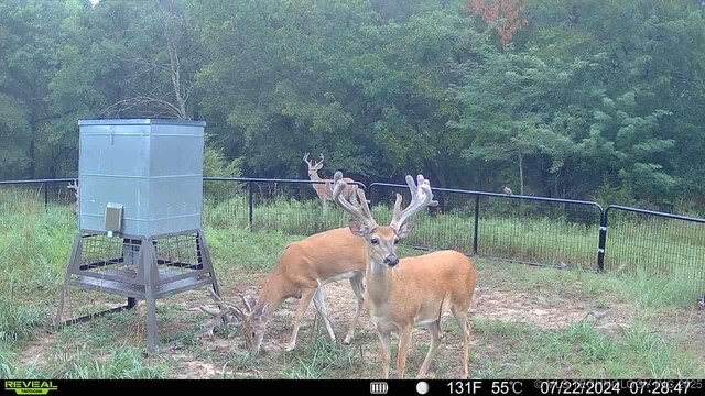 N County Road 3740, Tupelo, OK 74572 - photo 53
