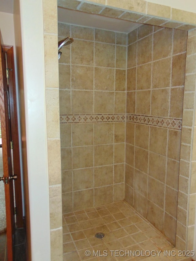 full bathroom featuring a shower stall