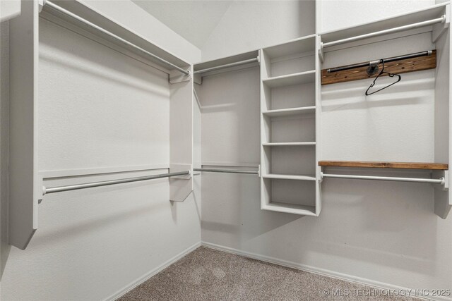 spacious closet featuring carpet