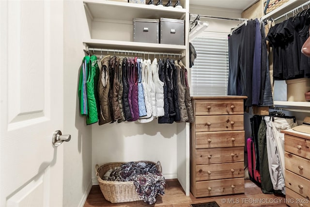 walk in closet with wood finished floors