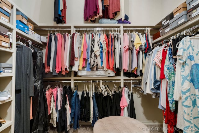 view of spacious closet