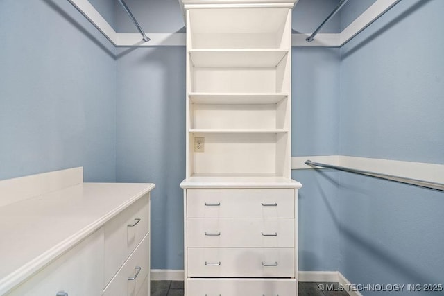 view of spacious closet