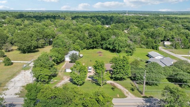 drone / aerial view of a forest