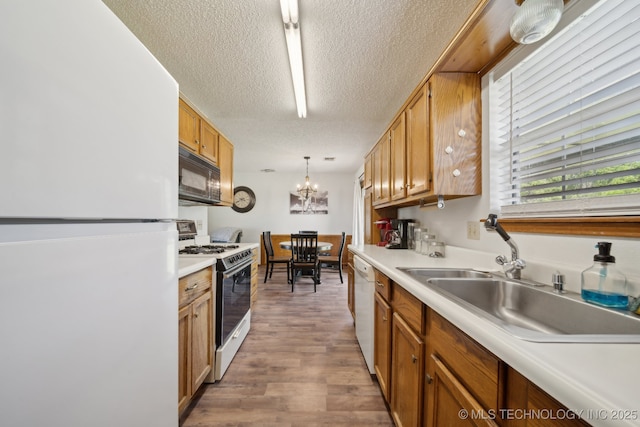 kitchen with white appliances, a textured ceiling, a sink, wood finished floors, and light countertops
