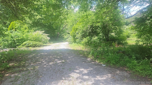 view of dirt / gravel road with a view of trees