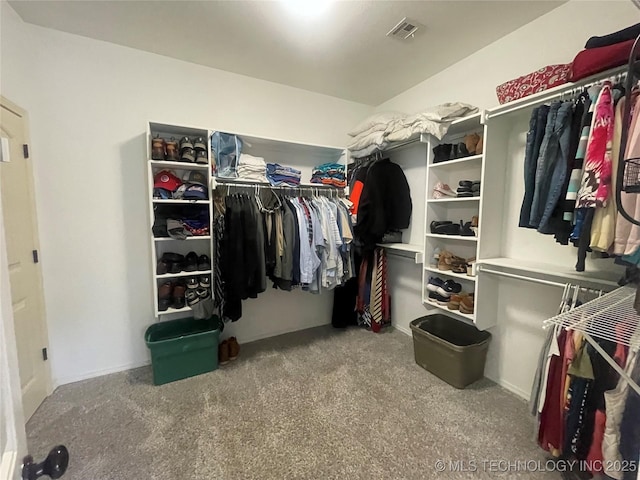 spacious closet featuring carpet floors