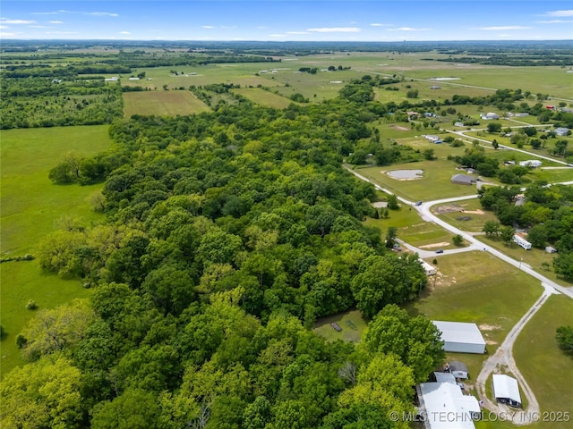 aerial view of a forest