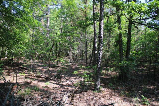 48751 County Road 642, Jay, OK 74346 - photo 15