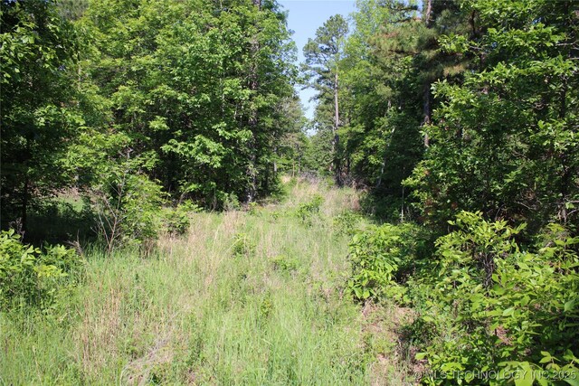 48751 County Road 642, Jay, OK 74346 - photo 16