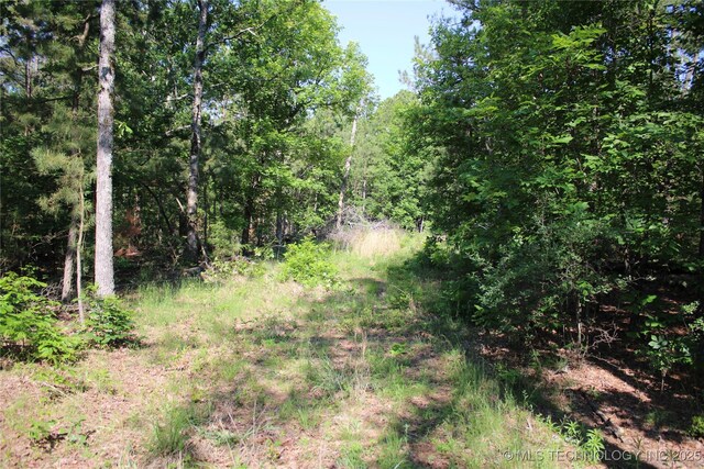 48751 County Road 642, Jay, OK 74346 - photo 17
