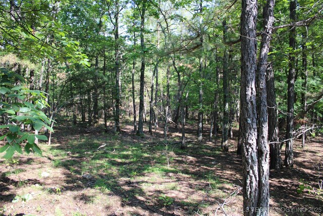 48751 County Road 642, Jay, OK 74346 - photo 21