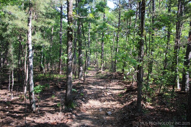 48751 County Road 642, Jay, OK 74346 - photo 24