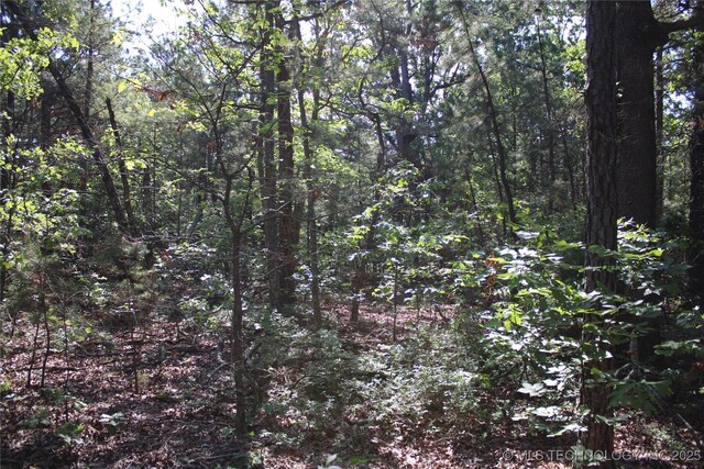 48751 County Road 642, Jay, OK 74346 - photo 25