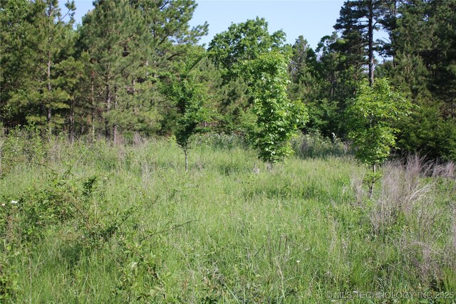 48751 County Road 642, Jay, OK 74346 - photo 29