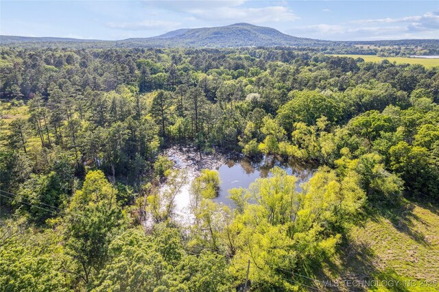 31384 W Tucker Knob Rd, Kinta, OK 74552
