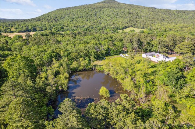 31384 W Tucker Knob Rd, Kinta, OK 74552