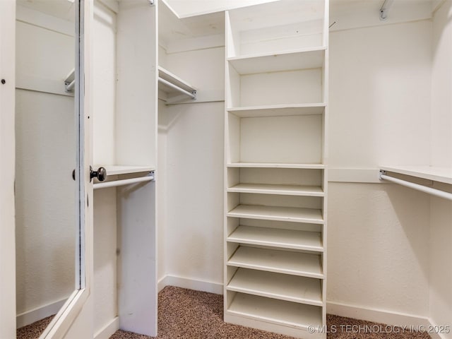 walk in closet with carpet floors