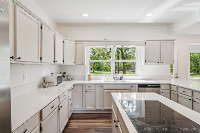 1001 County Road 2265, Skiatook, OK 74070 - kitchen featuring appliances with stainless steel finishes, a sink, light countertops, dark wood finished floors, and recessed lighting