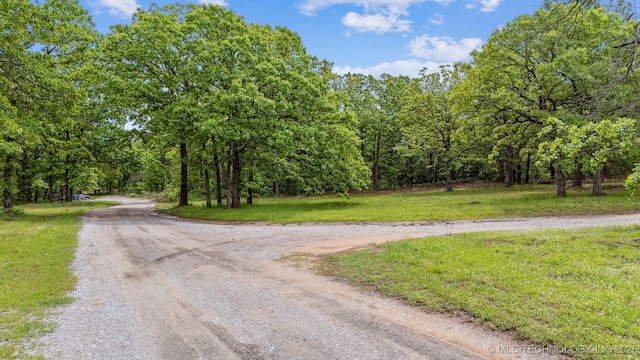 1001 County Road 2265, Skiatook, OK 74070 - view of dirt / gravel road with a view of trees
