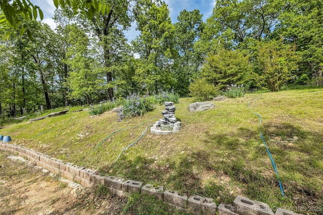 32290 S 630th Rd, Jay, OK 74346 - view of yard