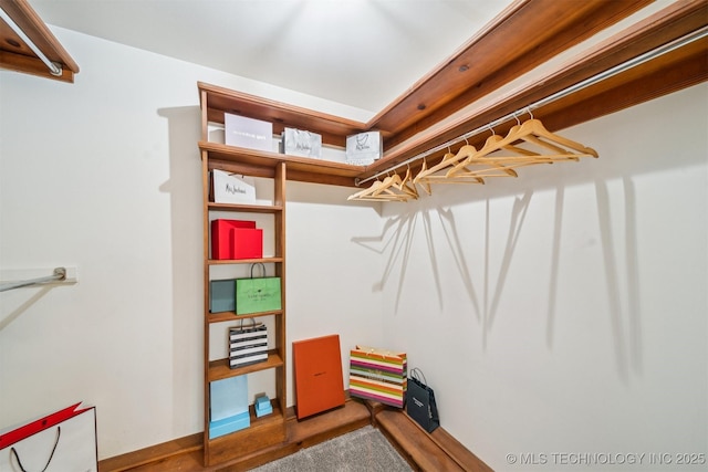 6123 E 53rd St, Tulsa, OK 74135 - view of walk in closet