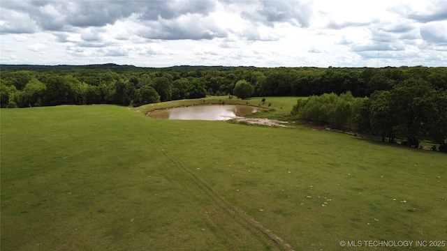 aerial view of a forest and a nearby body of water