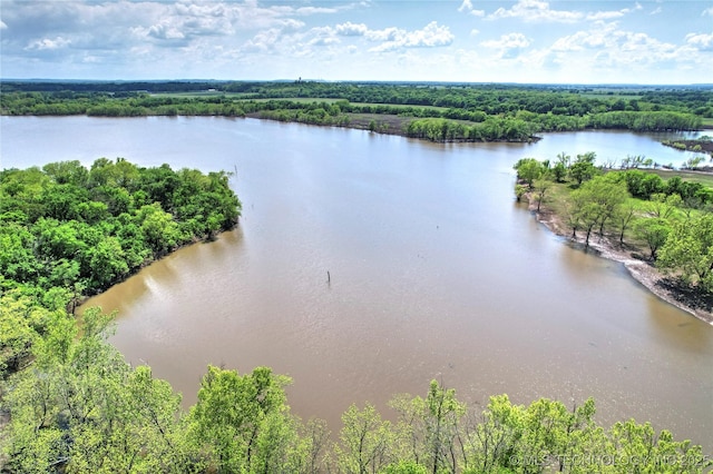 water view with a forest