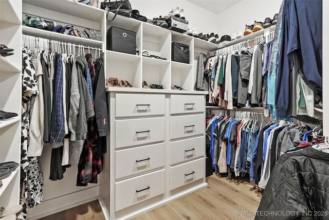 spacious closet featuring light wood-style flooring