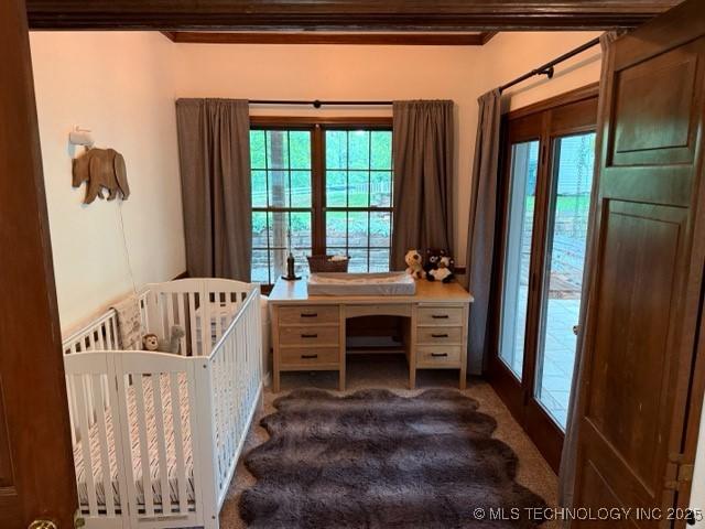 15373 N Javine Hill Rd, Skiatook, OK 74070 - carpeted bedroom with multiple windows and ornamental molding