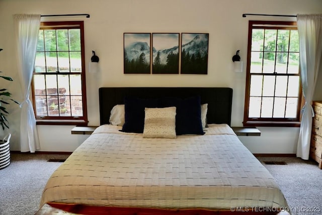 15373 N Javine Hill Rd, Skiatook, OK 74070 - carpeted bedroom featuring multiple windows