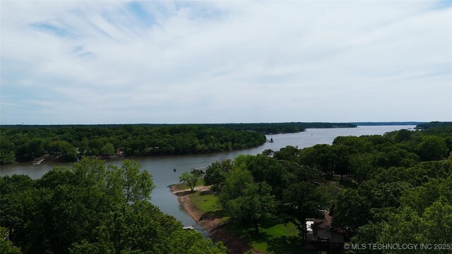 1403 Vale, Grove, OK 74344 - drone / aerial view of a large body of water and a forest