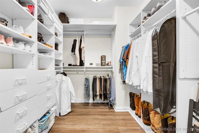 spacious closet with wood finished floors
