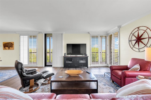 living area featuring wood finished floors and crown molding