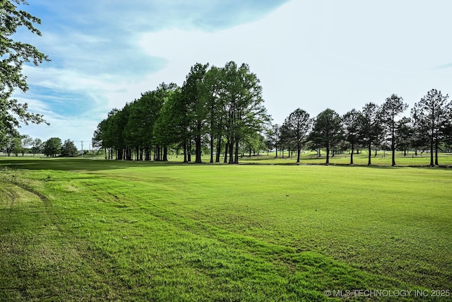 view of community with a yard