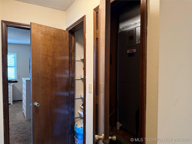 2902 Hilltop Ave, Muskogee, OK 74403 - corridor featuring a textured ceiling, carpet, and a textured wall