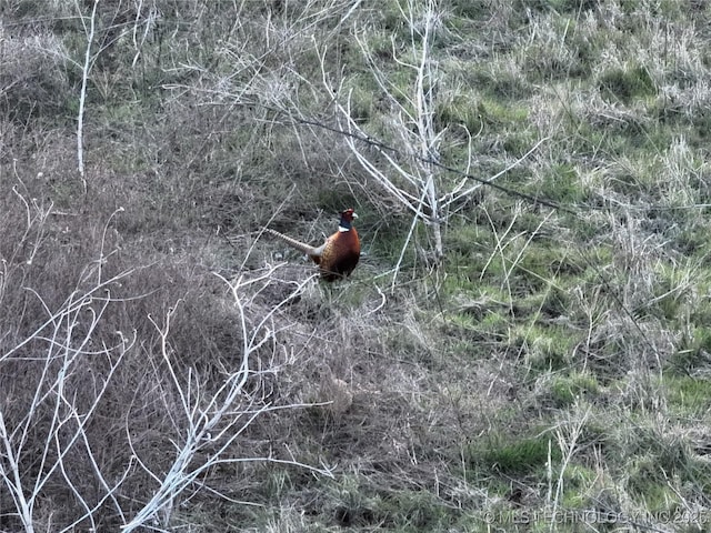 Prospect Ave, Ponca City, OK 74601 - photo 9