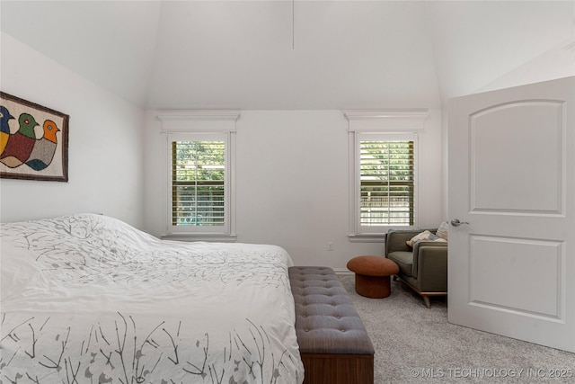 2835 E 104th St, Tulsa, OK 74137 - carpeted bedroom with multiple windows and high vaulted ceiling