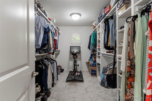 2835 E 104th St, Tulsa, OK 74137 - spacious closet with carpet