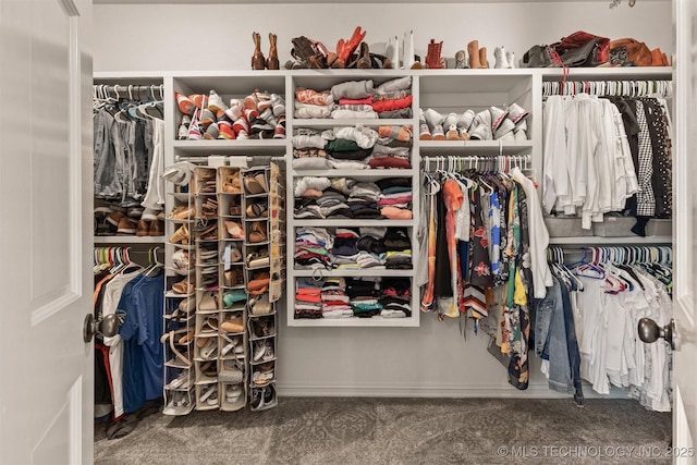 7333 S 286th E Ave, Broken Arrow, OK 74014 - spacious closet with carpet floors