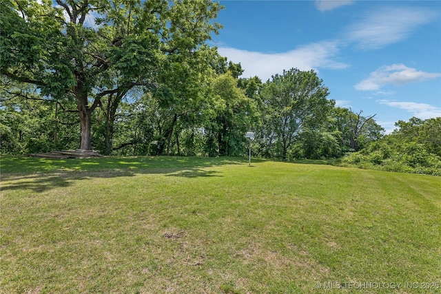 view of grassy yard