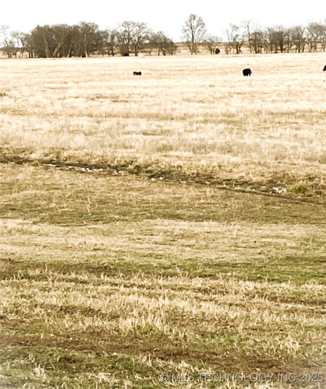 view of yard with a rural view