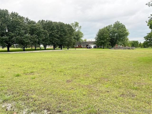 view of grassy yard