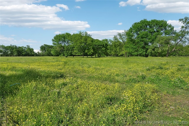 view of local wilderness featuring rural landscape