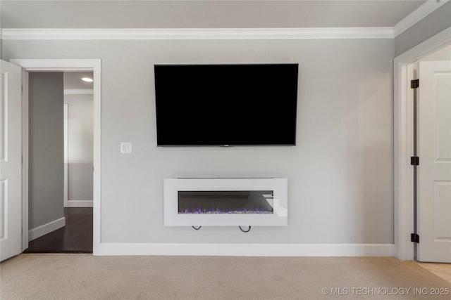 10616 N 81st E Pl, Owasso, OK 74055 - detailed view of ornamental molding, carpet floors, baseboards, and a glass covered fireplace