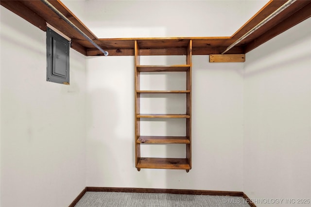 8508 E 123rd St S, Bixby, OK 74008 - walk in closet with electric panel and carpet