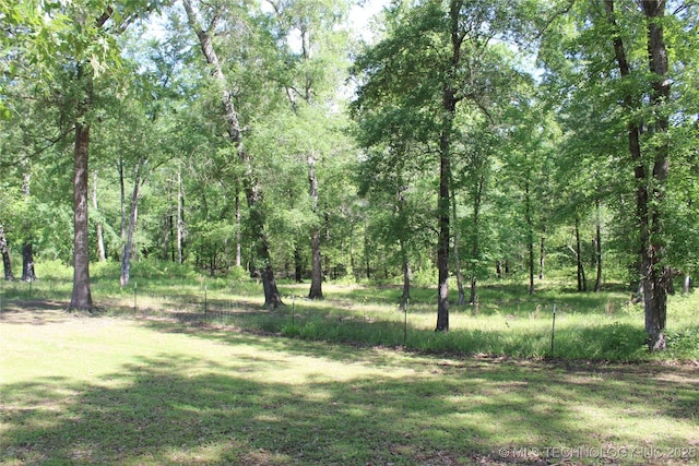 423118 E 1944th Ln, Antlers, OK 74523 - view of wooded area