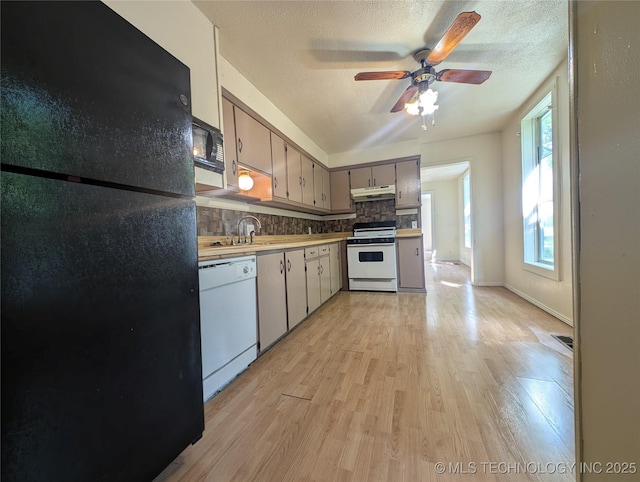 kitchen with black appliances, under cabinet range hood, tasteful backsplash, ceiling fan, and light wood-type flooring