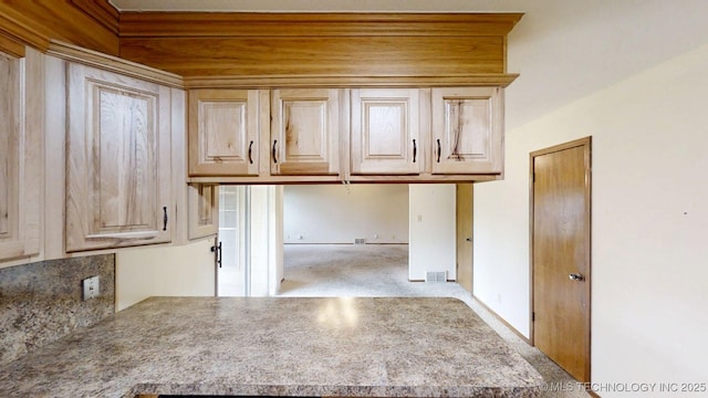 1703 Vaden Ln, Ardmore, OK 73401 - kitchen featuring carpet flooring, light countertops, and a peninsula