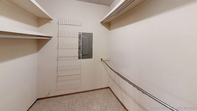 1703 Vaden Ln, Ardmore, OK 73401 - spacious closet featuring electric panel and light colored carpet